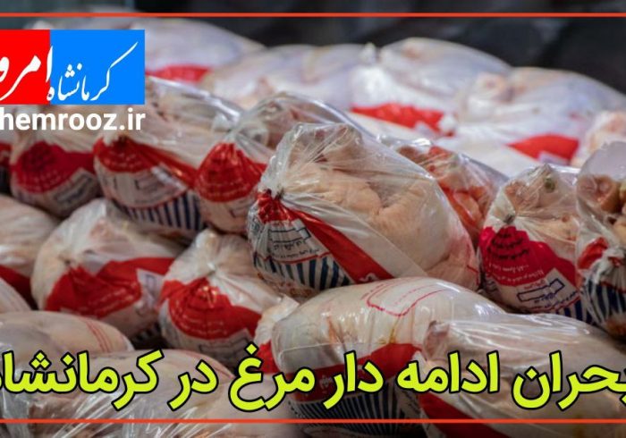 بحران ادامه دار مرغ در کرمانشاه