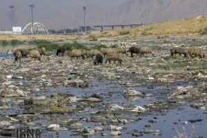 قره‌سو مظلوم‌ترین رودخانه‌ کرمانشاه