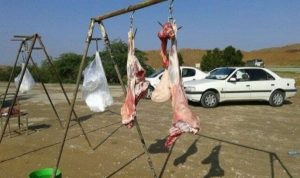 کشتار غیرمجاز دام در کلانشهر کرمانشاه بیداد می کند