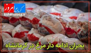 بحران ادامه دار مرغ در کرمانشاه